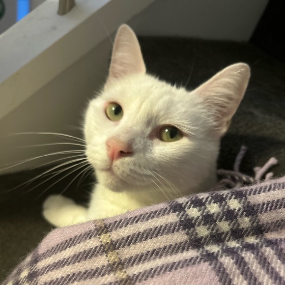 💗 - Picture 5 of 7